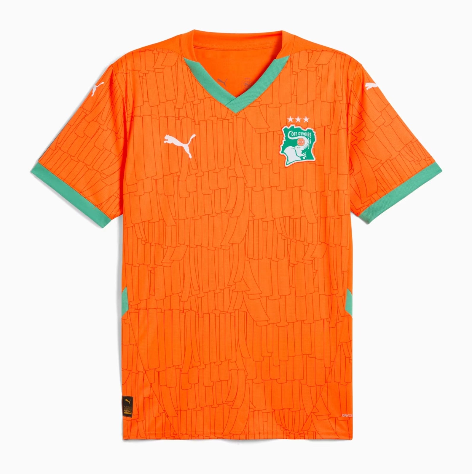 MAILLOT COTE D'IVOIRE DOMICILE 2024/2025